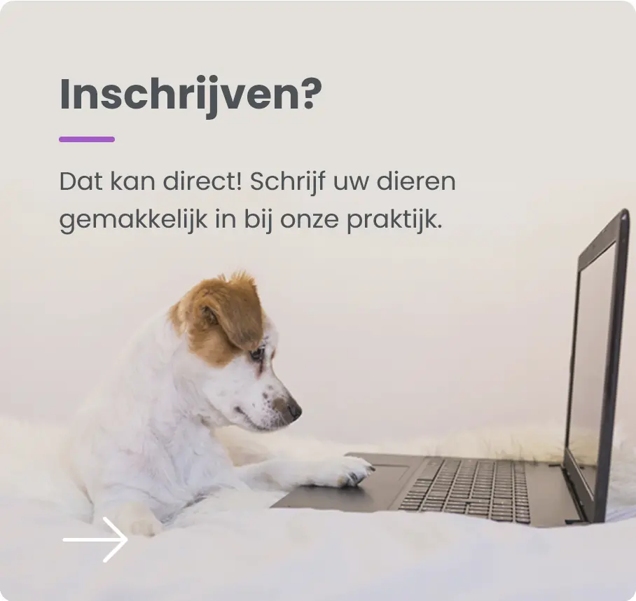Inschrijven